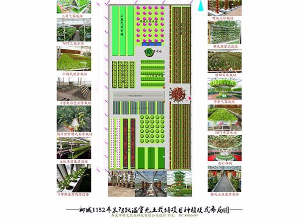 聊城11152平米智能溫室無土栽培設(shè)計方案