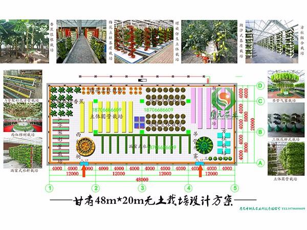 甘肅無土栽培設(shè)計(jì)方案